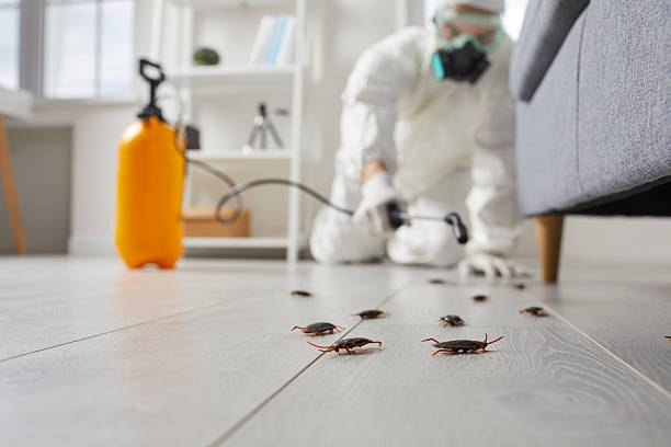 Trusted Fumigation Services service in Seven Lakes, NC - Nex Pest Control