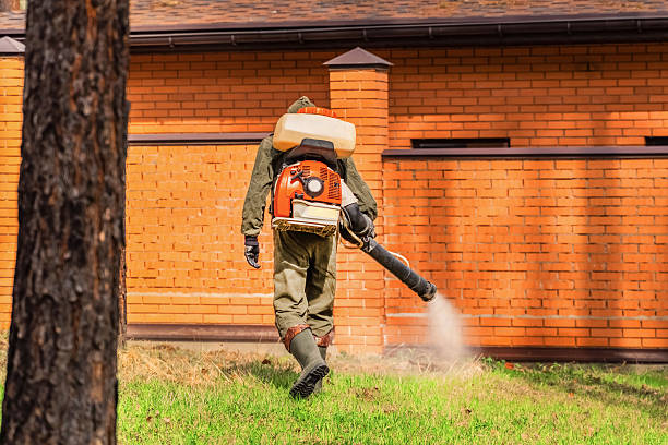 Trusted Bed Bug Control service in Seven Lakes, NC - Nex Pest Control